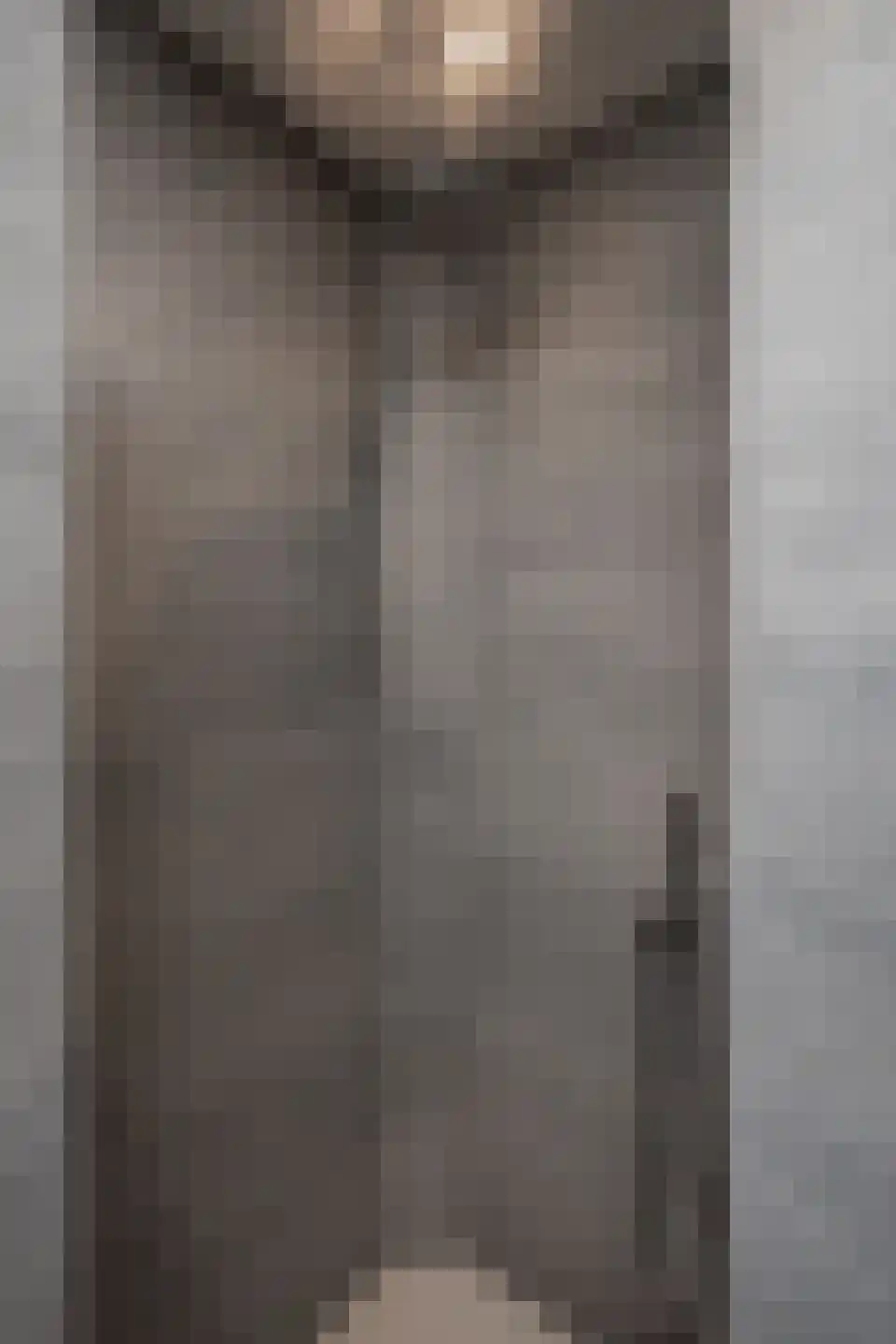 Korenmolenlaan 68 Bovenkarspel thumbnail 65