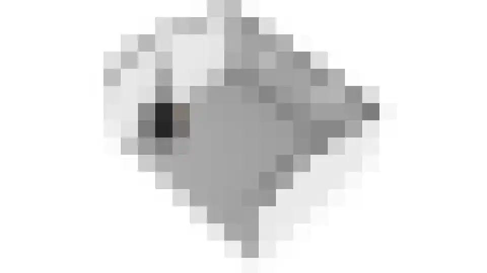 Korenmolenlaan 68 Bovenkarspel thumbnail 78