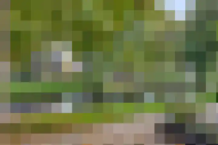 Korenmolenlaan 76 Bovenkarspel thumbnail 22