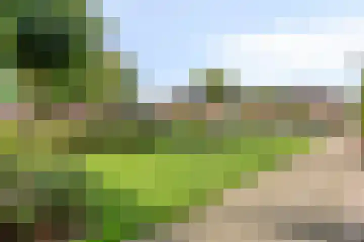 Korenmolenlaan 76 Bovenkarspel thumbnail 28