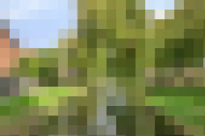Korenmolenlaan 76 Bovenkarspel thumbnail 29