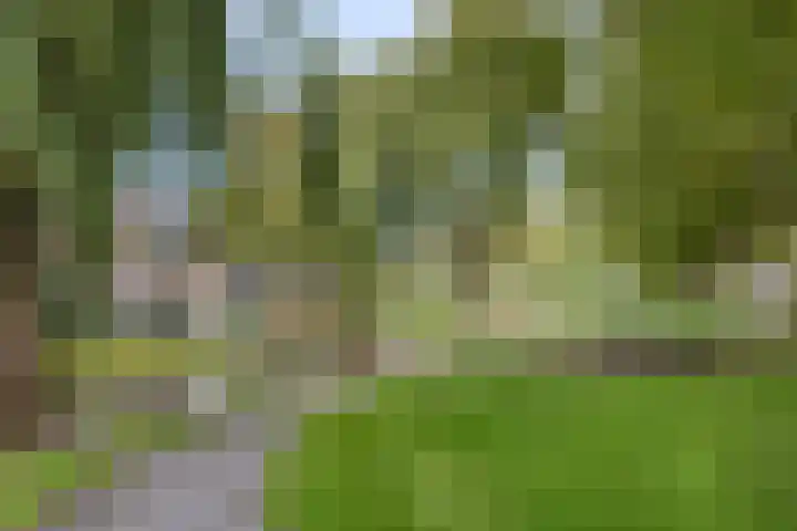 Korenmolenlaan 76 Bovenkarspel thumbnail 30