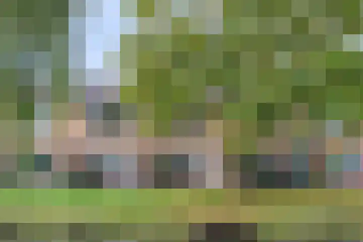 Korenmolenlaan 76 Bovenkarspel thumbnail 5