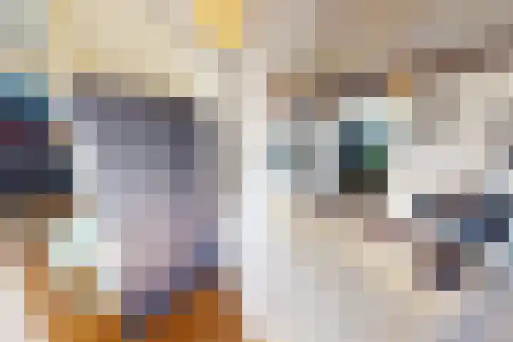 Korenmolenlaan 78 Bovenkarspel thumbnail 11