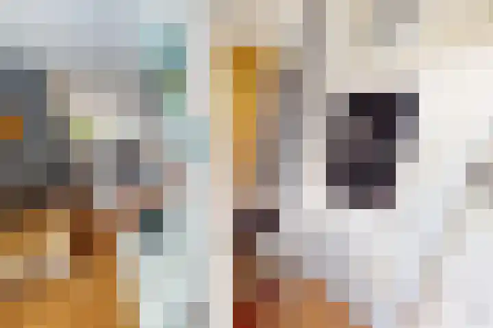 Korenmolenlaan 78 Bovenkarspel thumbnail 12