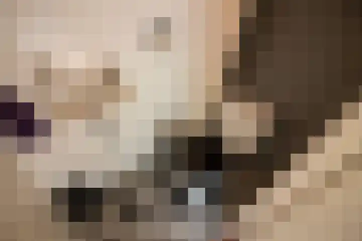 Korenmolenlaan 78 Bovenkarspel thumbnail 13