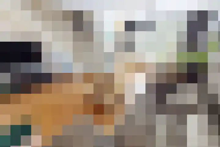 Korenmolenlaan 78 Bovenkarspel thumbnail 16