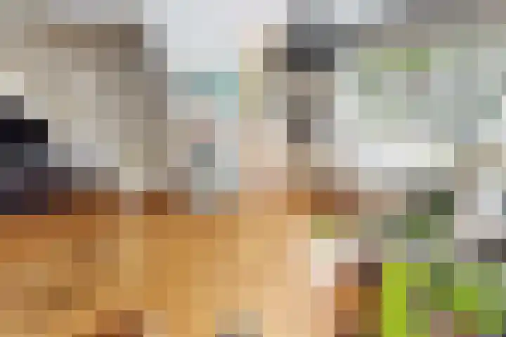 Korenmolenlaan 78 Bovenkarspel thumbnail 17