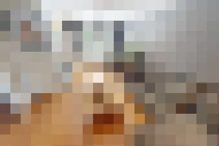 Korenmolenlaan 78 Bovenkarspel thumbnail 18