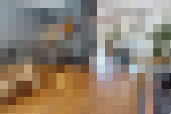 Korenmolenlaan 78 Bovenkarspel thumbnail 19