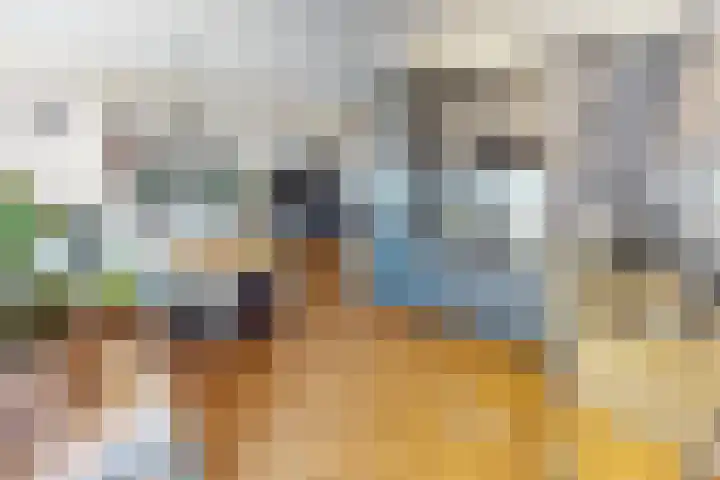 Korenmolenlaan 78 Bovenkarspel thumbnail 34