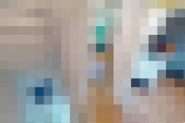 Korenmolenlaan 78 Bovenkarspel thumbnail 37