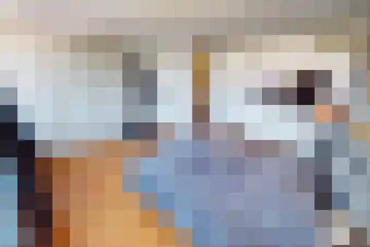 Korenmolenlaan 78 Bovenkarspel thumbnail 40