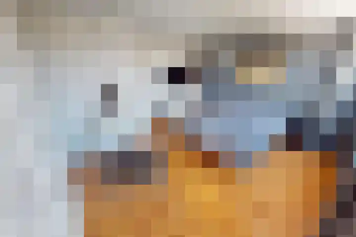 Korenmolenlaan 78 Bovenkarspel thumbnail 41