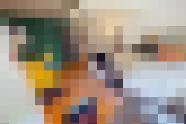 Korenmolenlaan 78 Bovenkarspel thumbnail 49