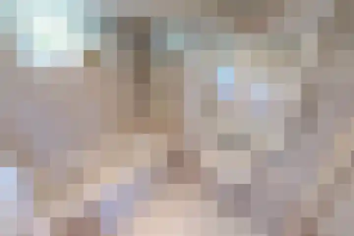 Korenmolenlaan 78 Bovenkarspel thumbnail 52