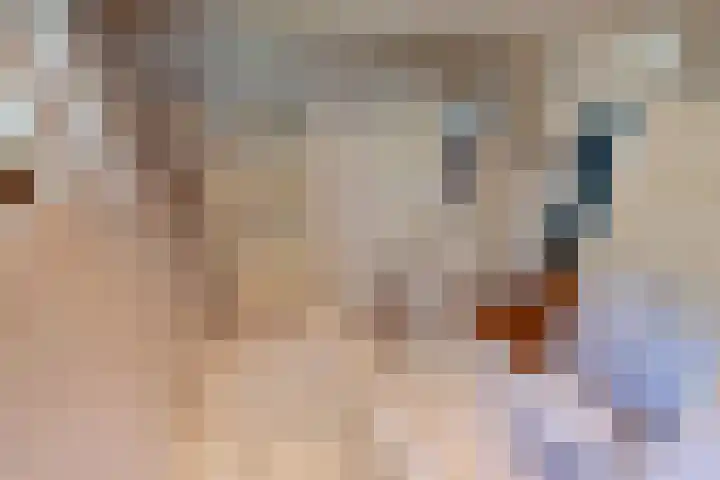 Korenmolenlaan 78 Bovenkarspel thumbnail 53