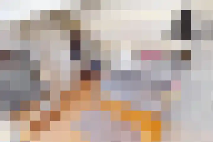 Korenmolenlaan 78 Bovenkarspel thumbnail 60