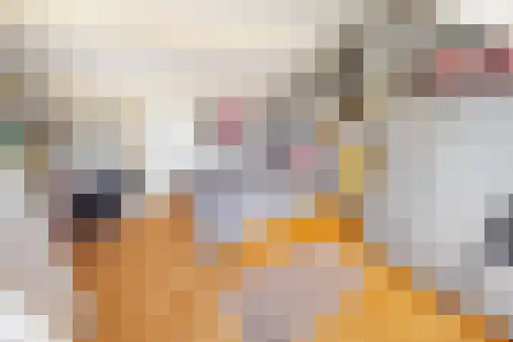 Korenmolenlaan 78 Bovenkarspel thumbnail 61