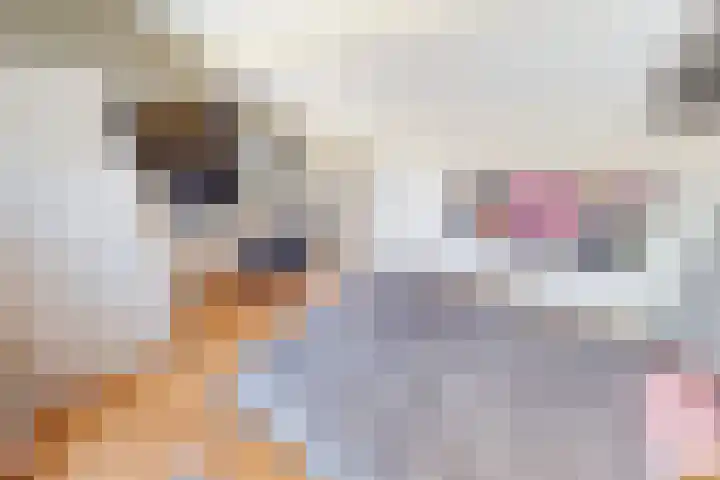 Korenmolenlaan 78 Bovenkarspel thumbnail 62