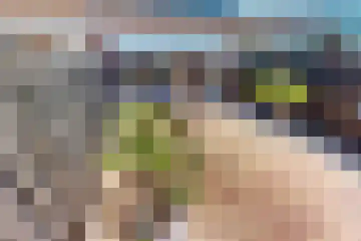 Korenmolenlaan 78 Bovenkarspel thumbnail 66