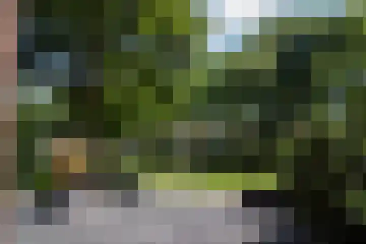 Korenmolenlaan 78 Bovenkarspel thumbnail 7