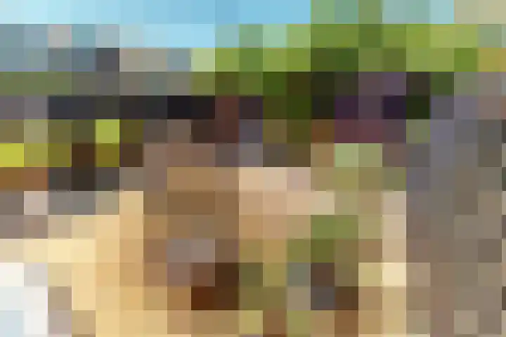 Korenmolenlaan 78 Bovenkarspel thumbnail 70