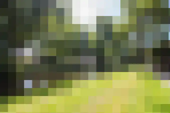 Korenmolenlaan 78 Bovenkarspel thumbnail 76