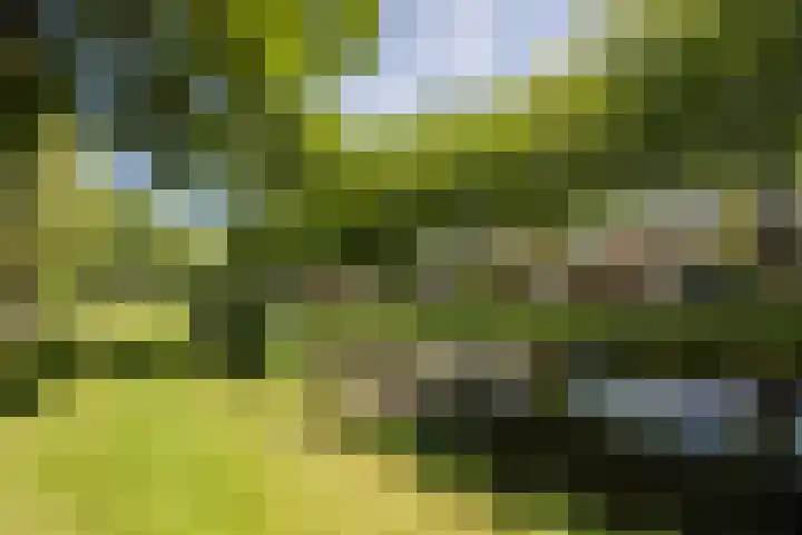 Korenmolenlaan 78 Bovenkarspel thumbnail 77
