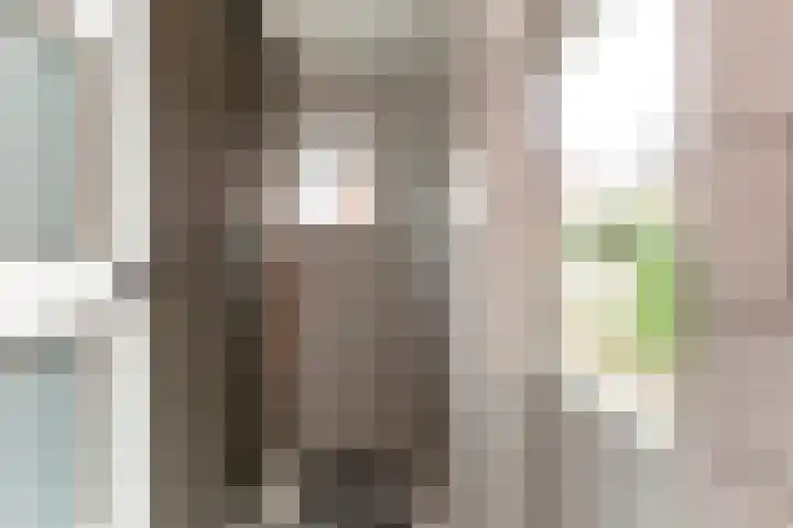Korenmolenlaan 86 Bovenkarspel thumbnail 13
