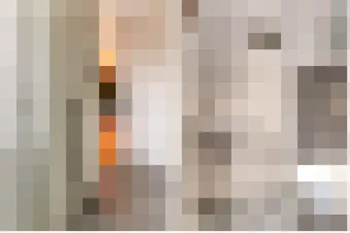 Korenmolenlaan 86 Bovenkarspel thumbnail 14
