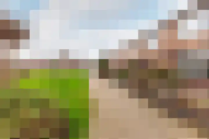 Korenmolenlaan 86 Bovenkarspel thumbnail 34