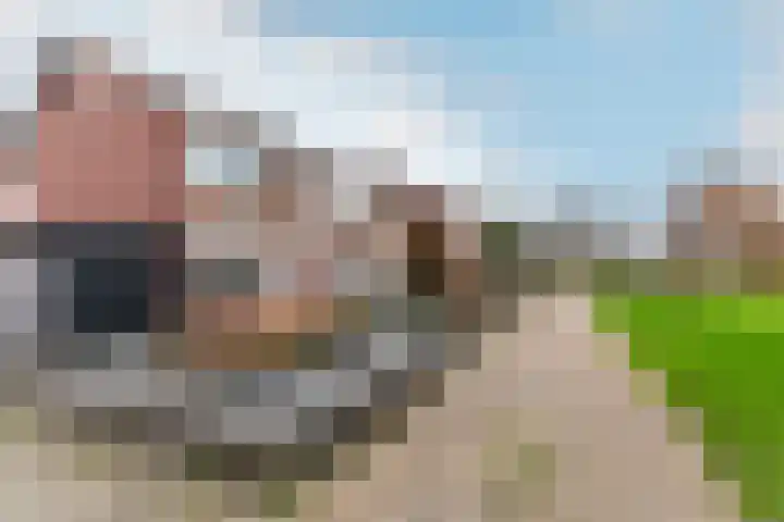 Korenmolenlaan 86 Bovenkarspel thumbnail 35