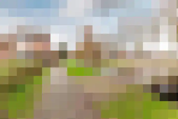 Korenmolenlaan 86 Bovenkarspel thumbnail 36