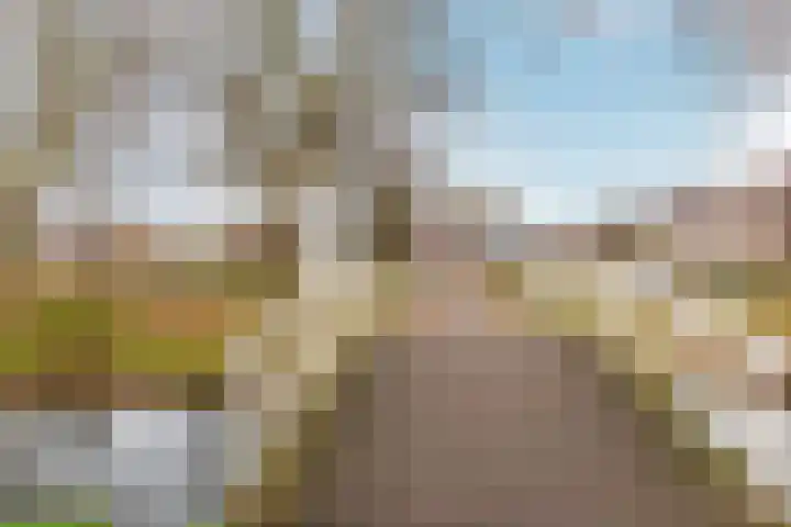 Korenmolenlaan 86 Bovenkarspel thumbnail 37