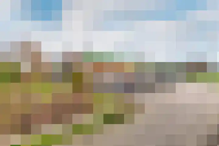 Korenmolenlaan 86 Bovenkarspel thumbnail 38