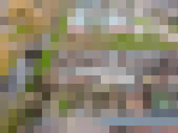 Korenmolenlaan 86 Bovenkarspel thumbnail 39
