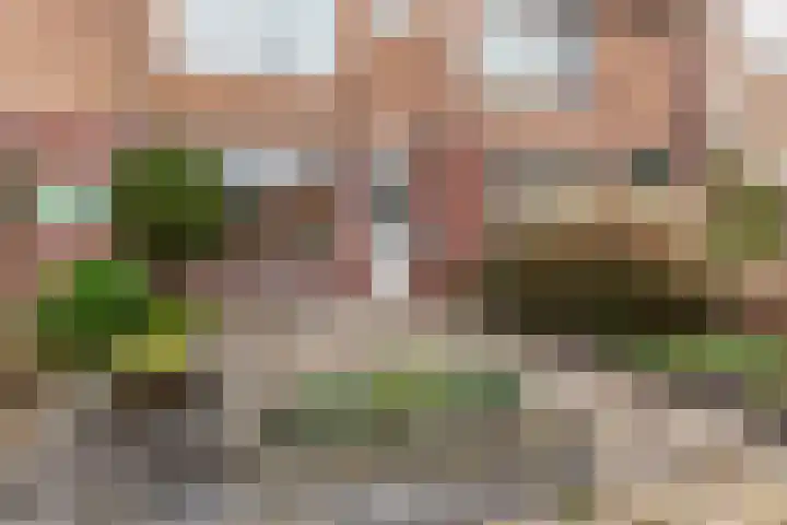 Korenmolenlaan 86 Bovenkarspel thumbnail 4