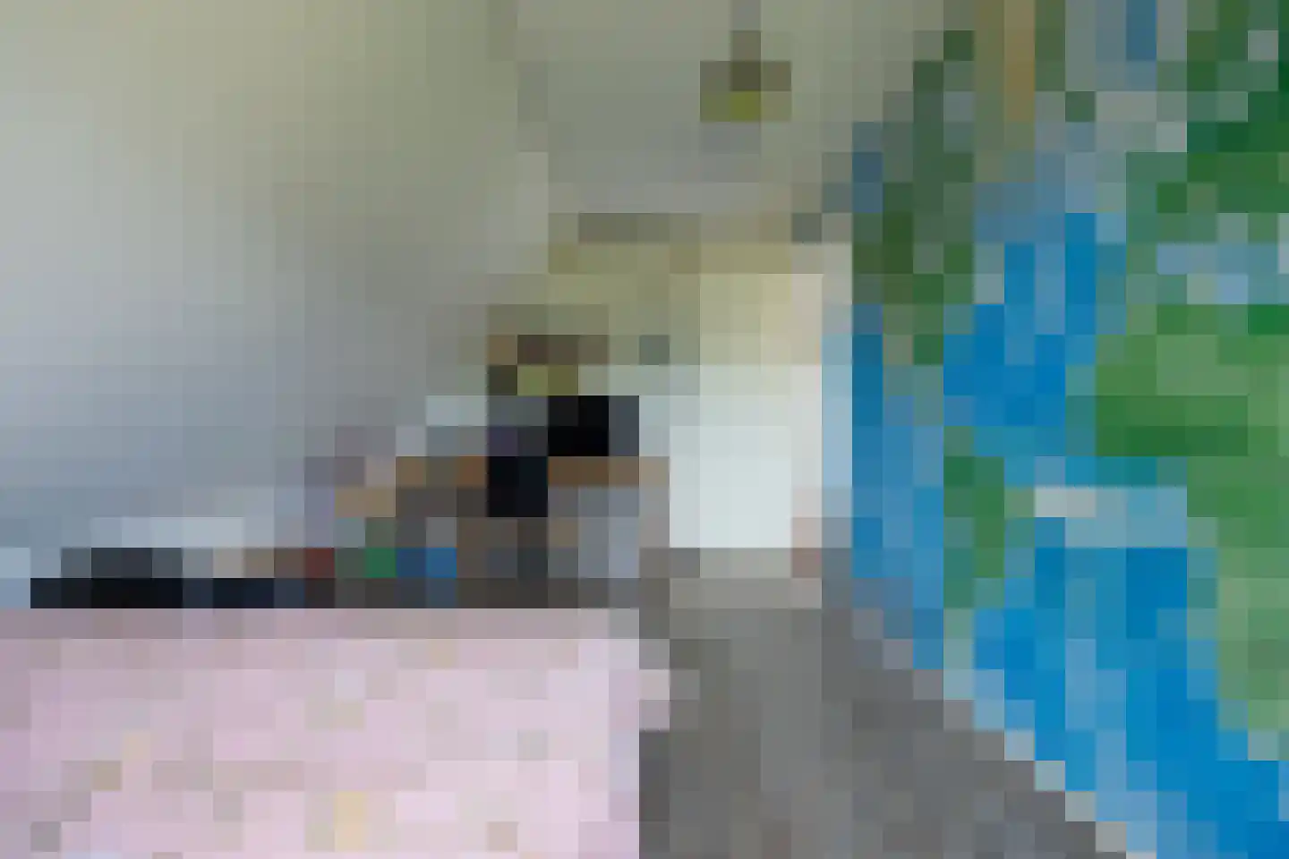 Korenmolenweg 17 a Bleiswijk thumbnail 32