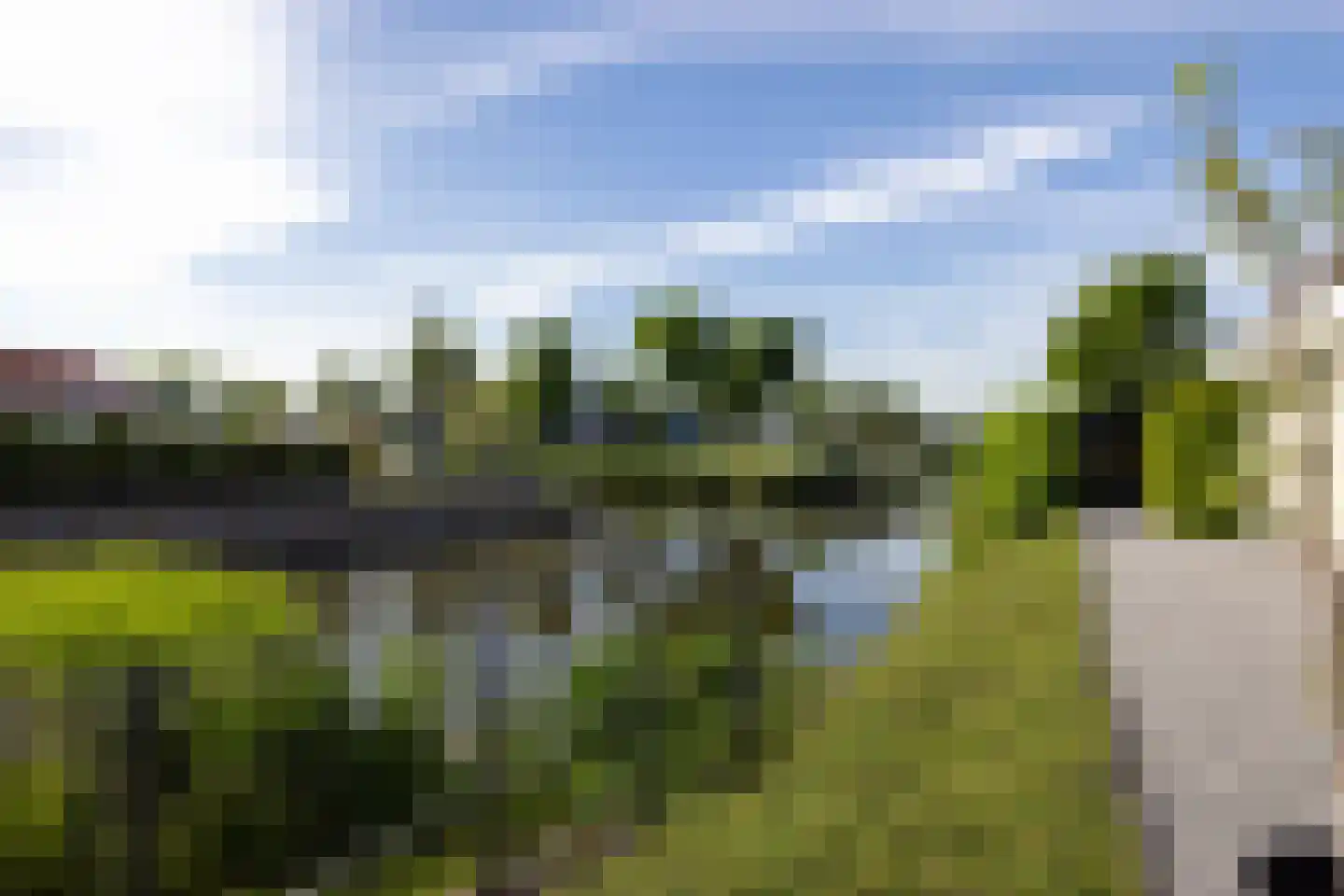 Korenmolenweg 17 a Bleiswijk thumbnail 39