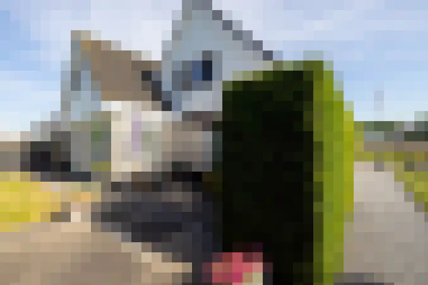 Korenmolenweg 17 a Bleiswijk thumbnail 4