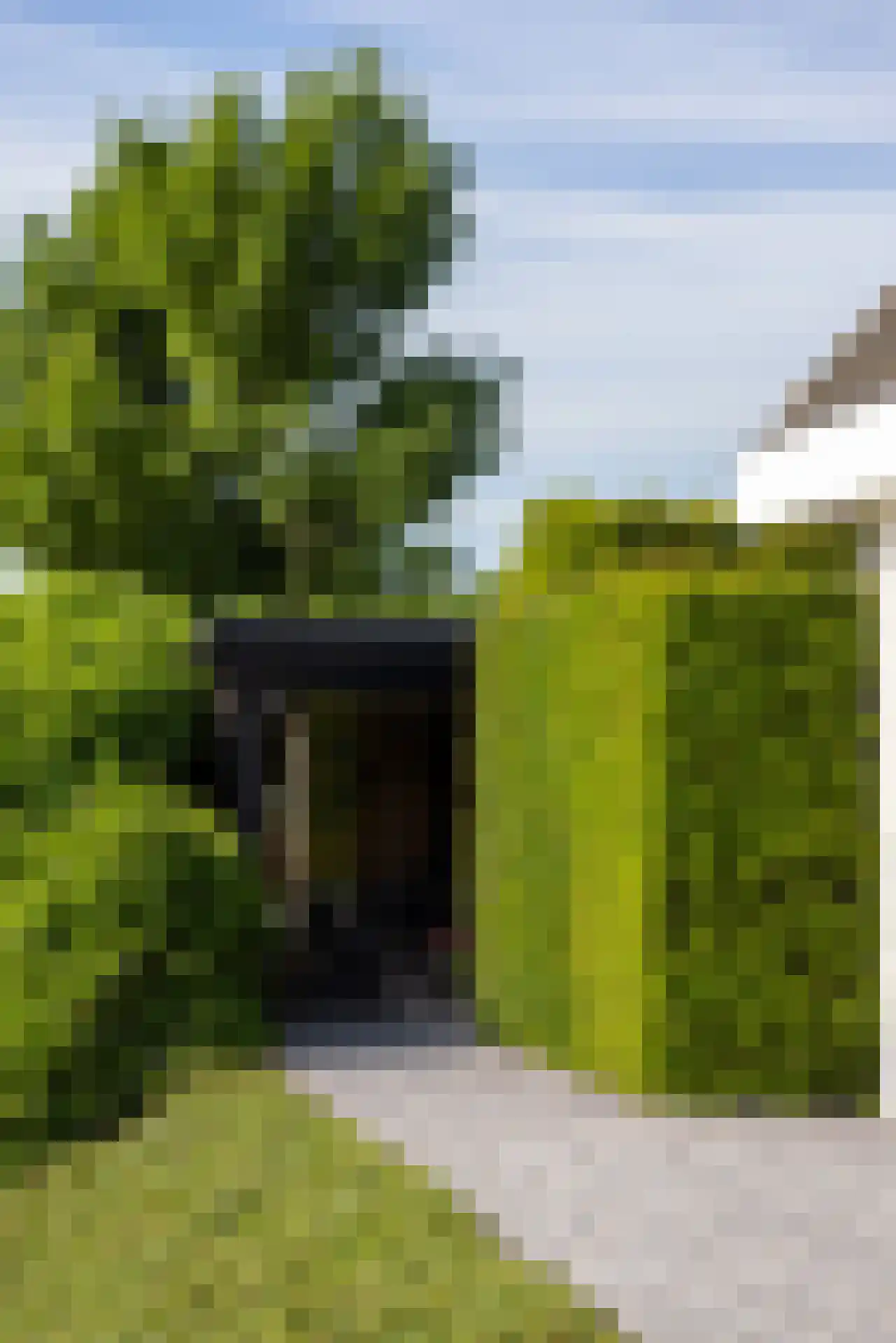 Korenmolenweg 17 a Bleiswijk thumbnail 41