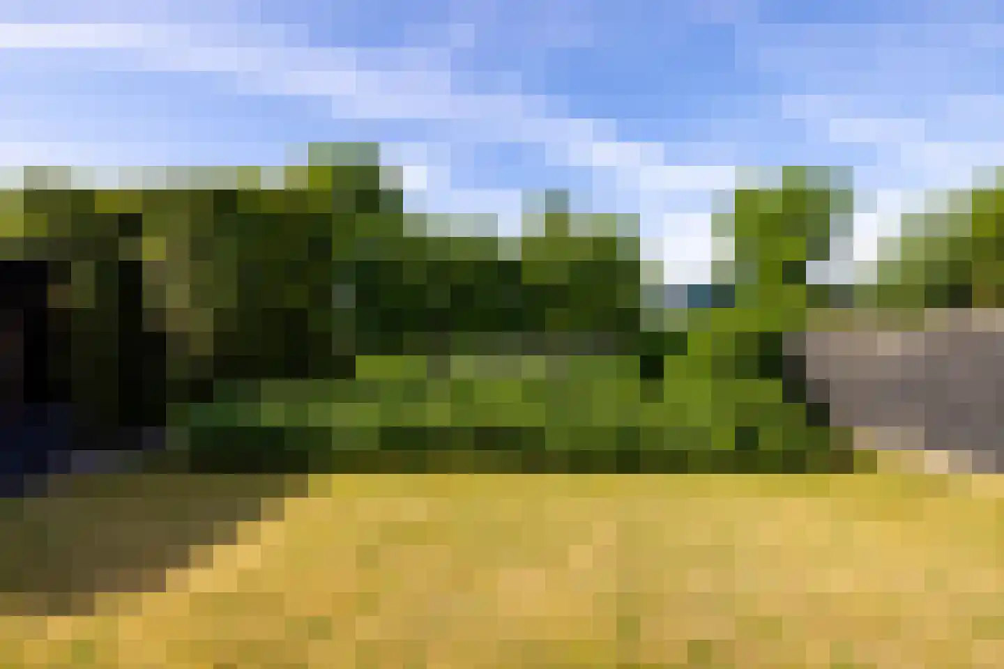 Korenmolenweg 17 a Bleiswijk thumbnail 42