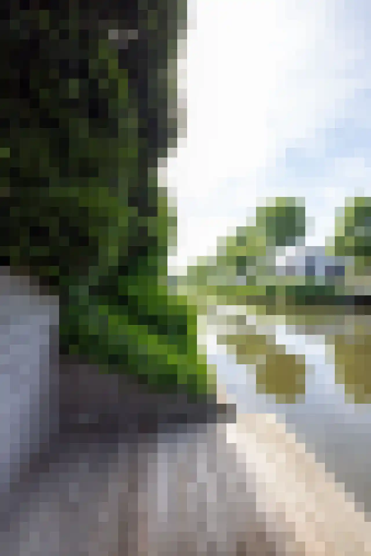 Korenmolenweg 17 a Bleiswijk thumbnail 46