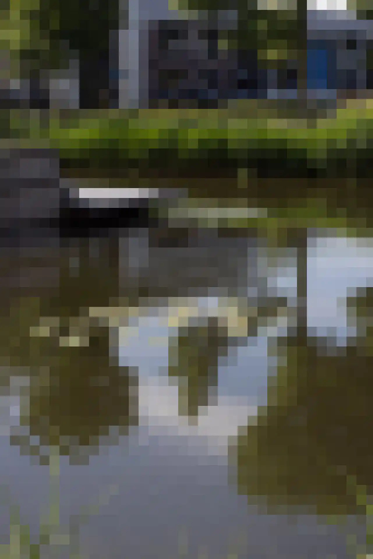 Korenmolenweg 17 a Bleiswijk thumbnail 47