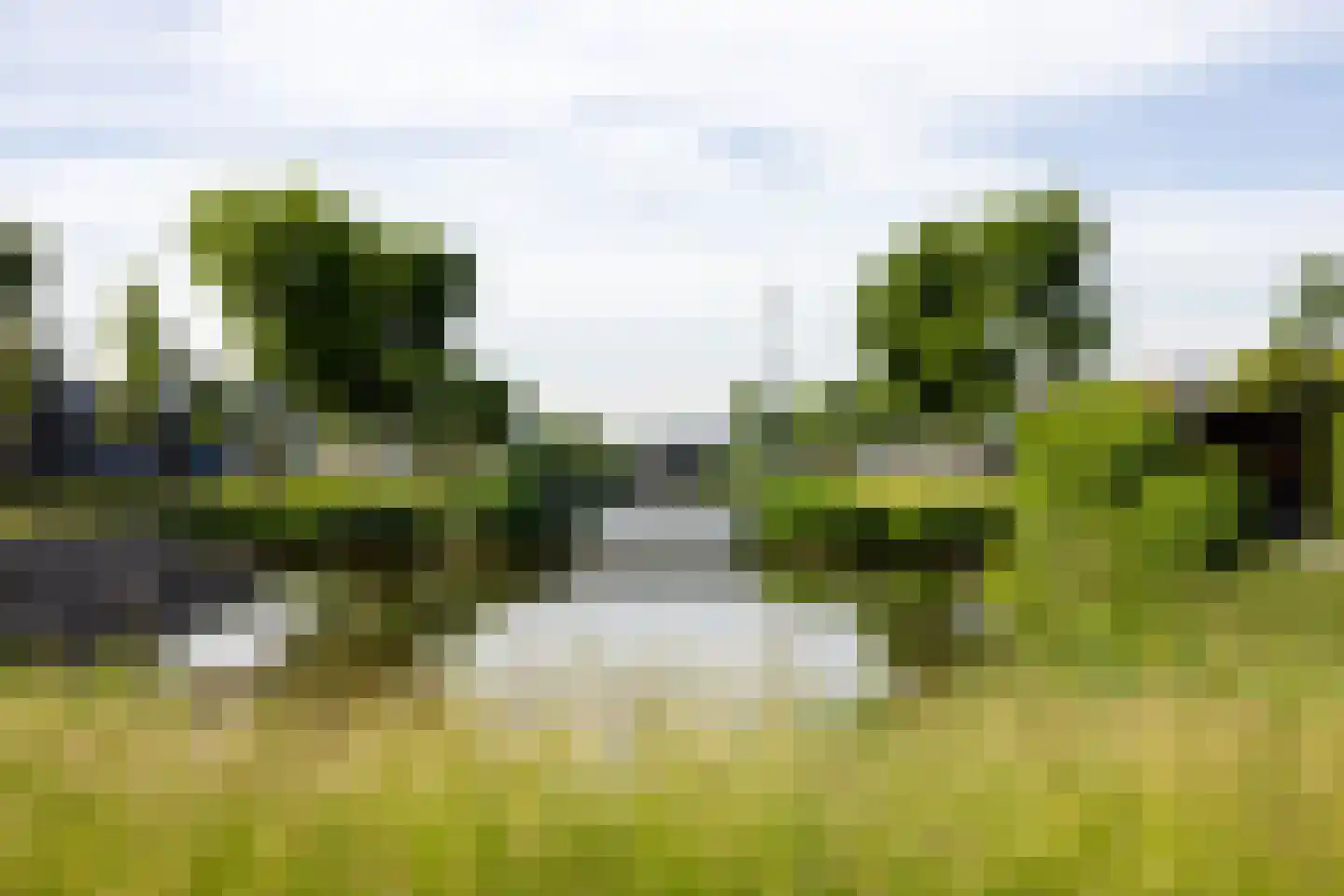 Korenmolenweg 17 a Bleiswijk thumbnail 6