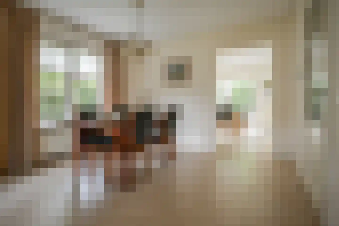 Korenmolenweg 25 a Bleiswijk thumbnail 11