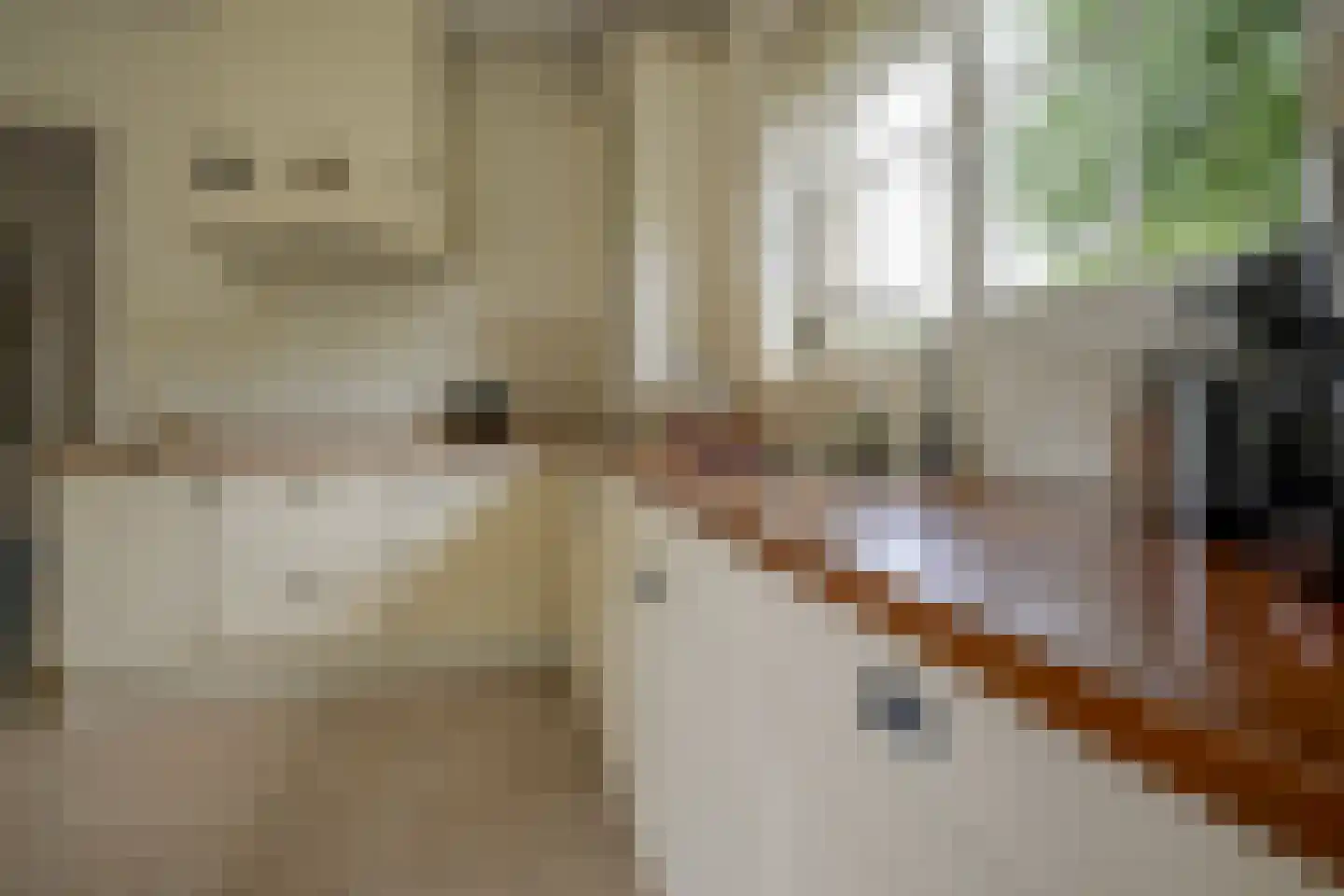 Korenmolenweg 25 a Bleiswijk thumbnail 13