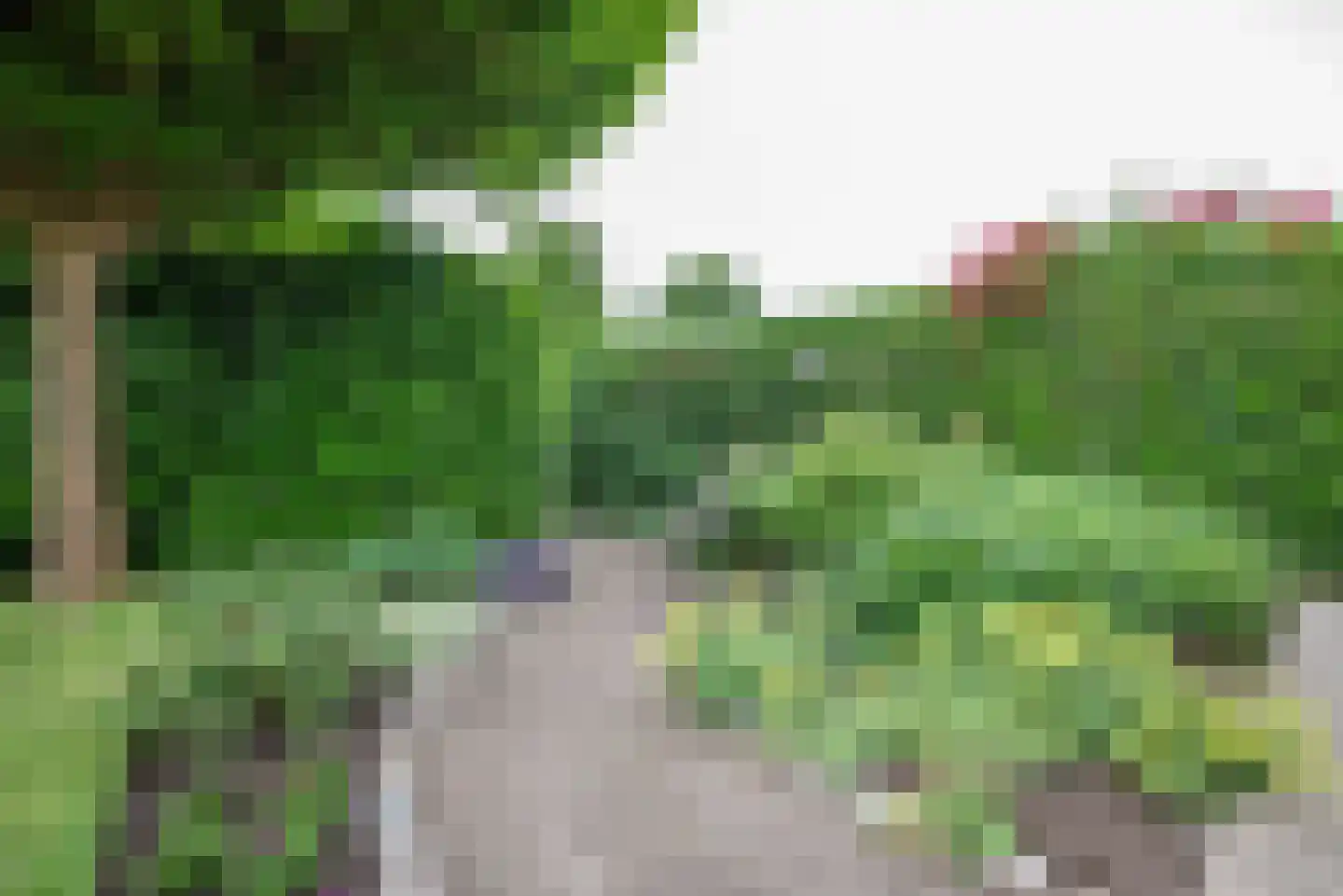 Korenmolenweg 25 a Bleiswijk thumbnail 26