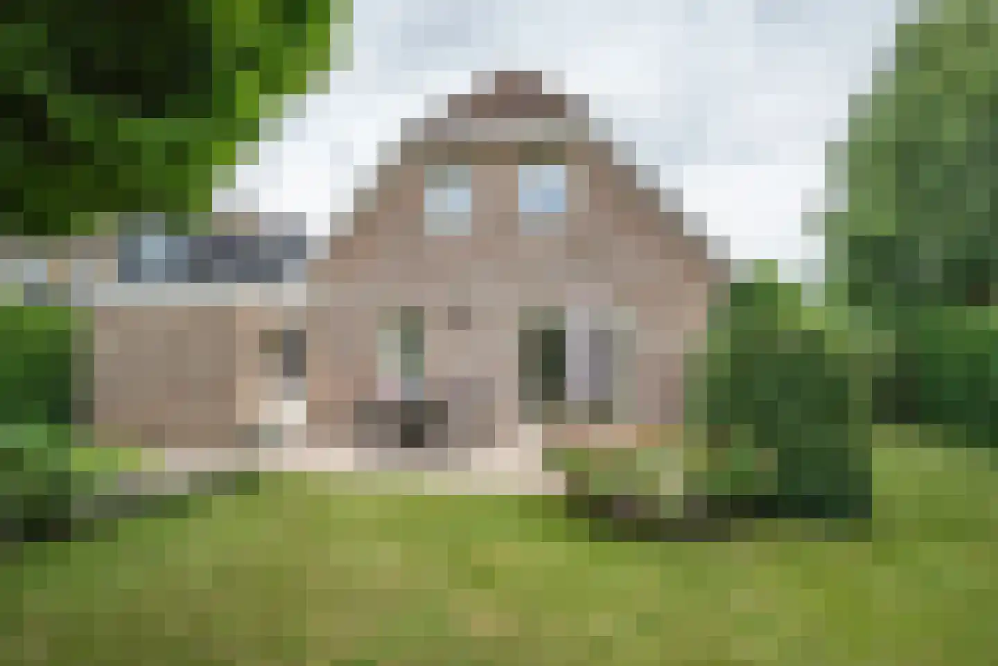 Korenmolenweg 25 a Bleiswijk thumbnail 30